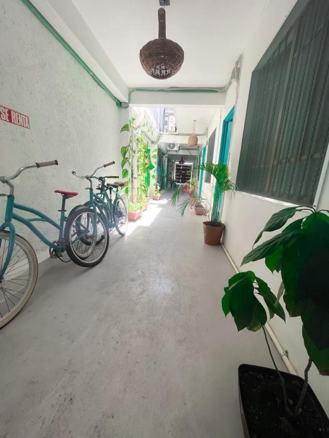 Casa Calido Hotel 코수멜 외부 사진